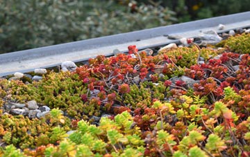 the cost of Balavil green roof installation