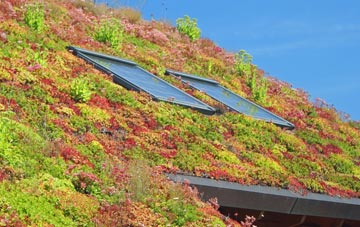 Balavil living roof systems