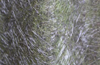 Balavil fibreglass roof work